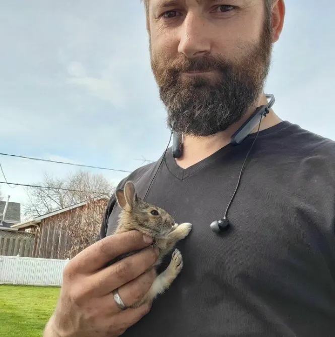 A small rabbit found during a lawn mow